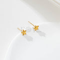 Pendientes Estrella Minimal