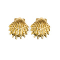 Pendientes concha acero