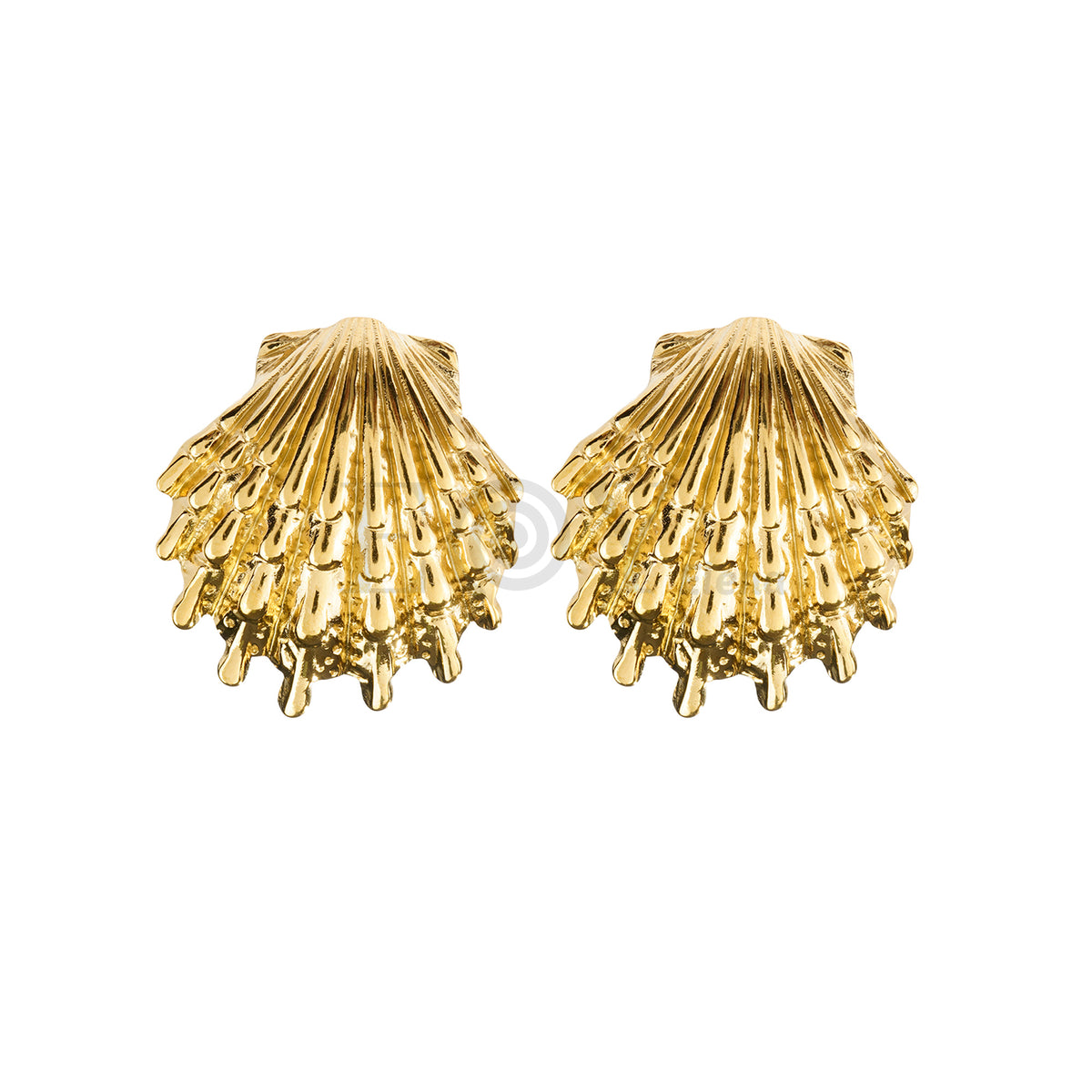 Pendientes concha acero