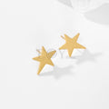 Pendientes estrella pequeña