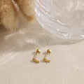 Pendientes pez rosca acero
