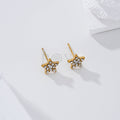 Pendientes estrella circonitas acero
