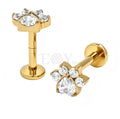 Pendientes titanio huella perro