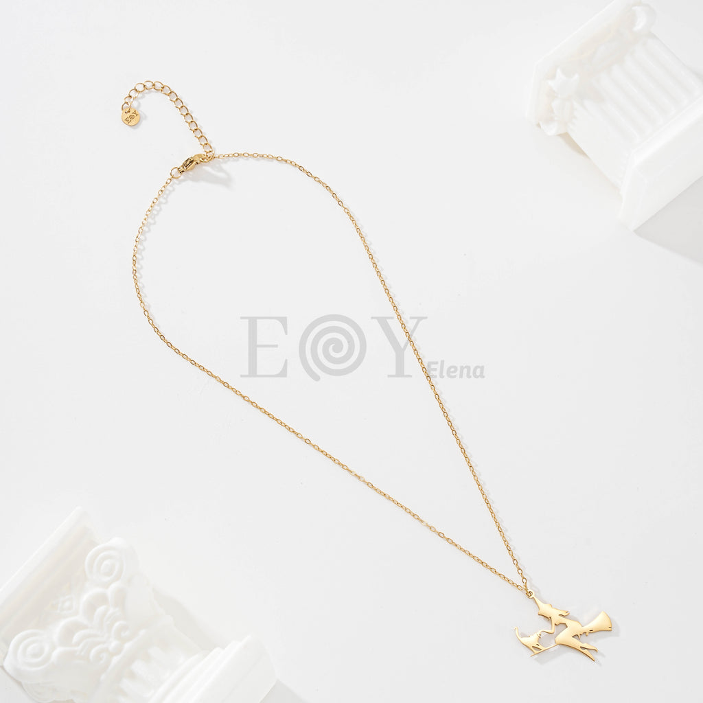 Collar bruja en escoba