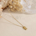 Collar oso acero